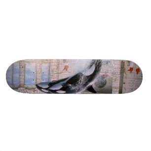Orca Skateboard