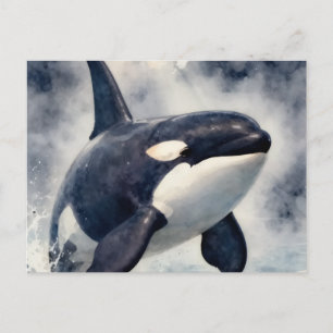 Orca Stormy waves Postcard