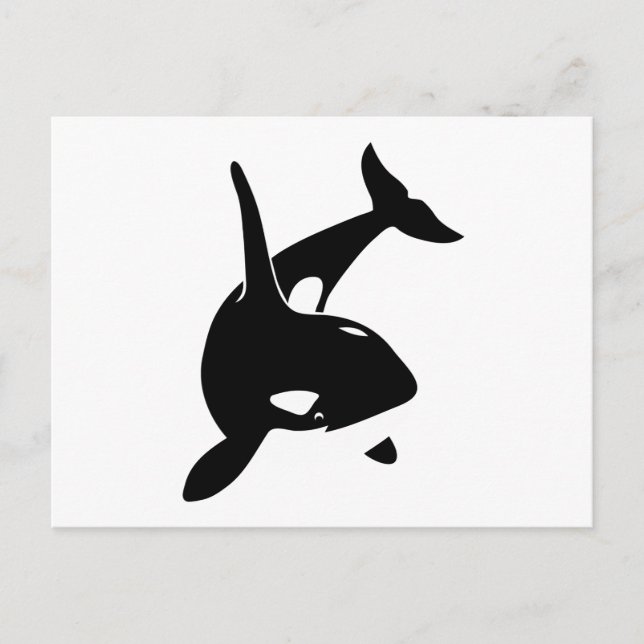 orca wal dolphin delphin schwertwal whale postcard (Front)