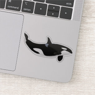 Orca Whale