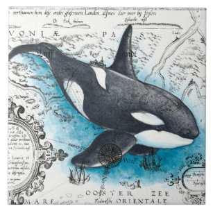 Orca Whale Blue Watercolor Nautical Map Tile