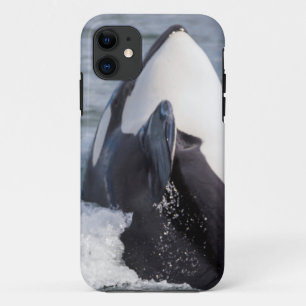 Orca whale breaching Case-Mate iPhone case