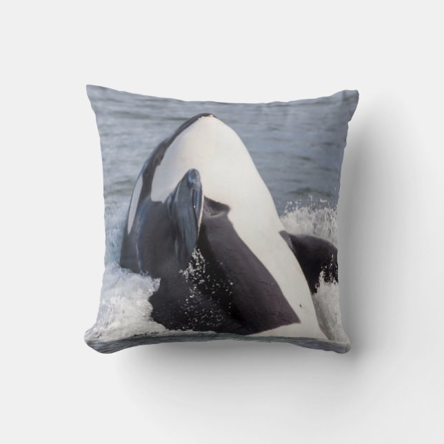 Orca whale breaching cushion (Front)