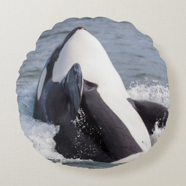 Orca whale breaching round cushion (Front)