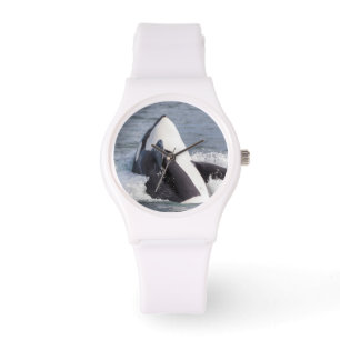 Orca whale breaching watch