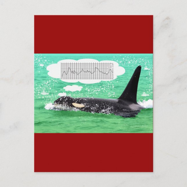Orca Whale Christmas Green Sea Merry Christmas Holiday Postcard (Front)