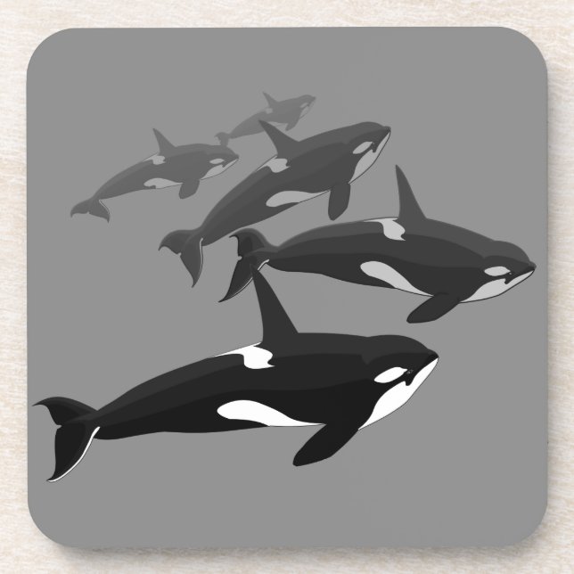 Orca Whale Coasters Killer Whale Art Drink Coaster (Front)