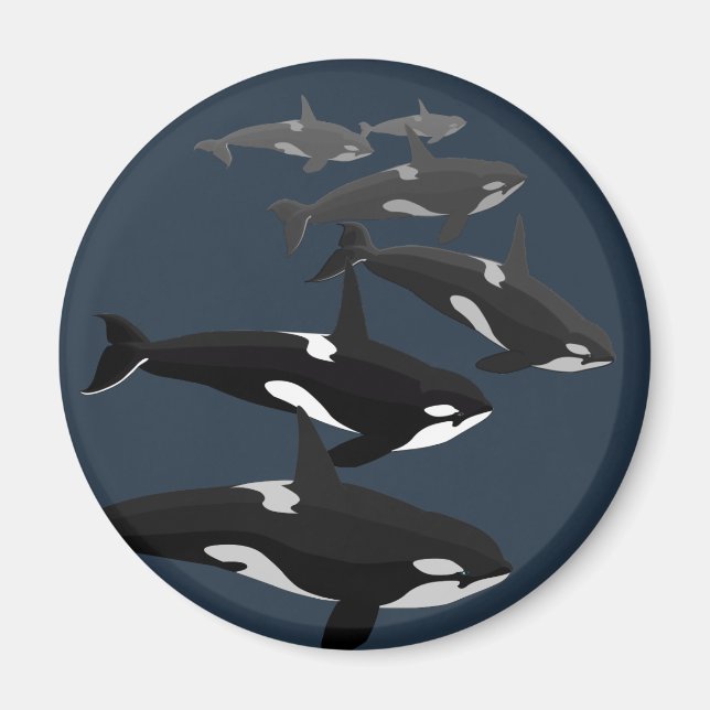 Orca Whale Fridge Magnet Killer Whale Art Magnets (Front)