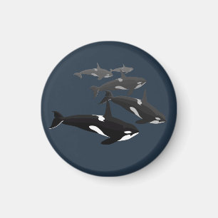 Orca Whale Fridge Magnet Killer Whale Art Magnets