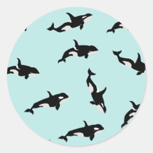 Orca Whale Illustration Pod Pattern Sea Baby Blue Classic Round Sticker