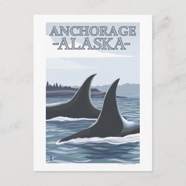 Orca Whales #1 - Anchorage, Alaska Postcard (Front)