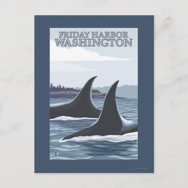 Orca Whales #1 - Friday Harbour, Washington Postcard (Front)