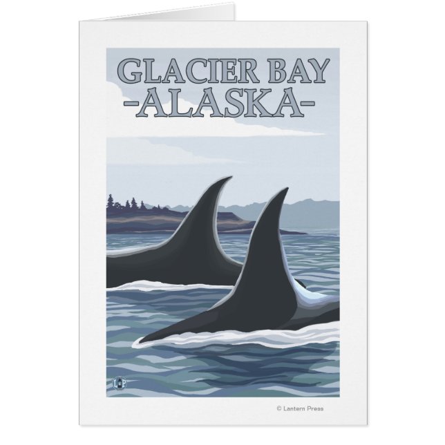 Orca Whales #1 - Glacier Bay, Alaska (Front)