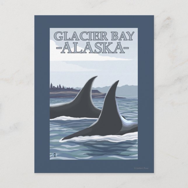 Orca Whales #1 - Glacier Bay, Alaska Postcard (Front)