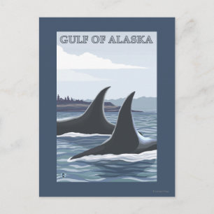Orca Whales #1 - Gulf of Alaska Postcard