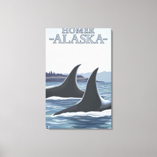Orca Whales #1 - Homer, Alaska Canvas Print