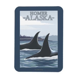 Orca Whales #1 - Homer, Alaska Magnet