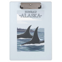 Orca Whales #1 - Juneau, Alaska