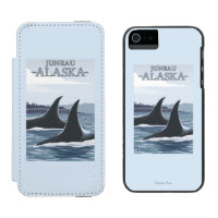 Orca Whales #1 - Juneau, Alaska