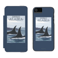 Orca Whales #1 - Juneau, Alaska
