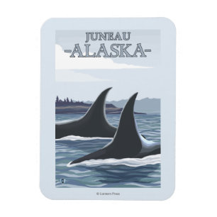 Orca Whales #1 - Juneau, Alaska Magnet