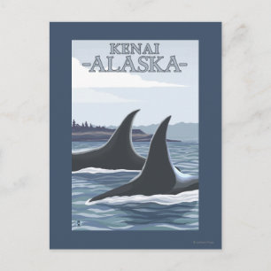 Orca Whales #1 - Kenai, Alaska Postcard
