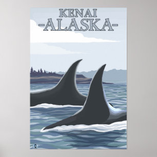Orca Whales #1 - Kenai, Alaska Poster