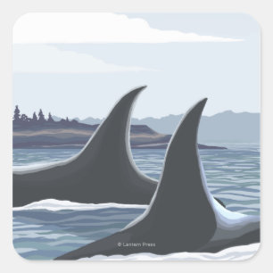 Orca Whales #1 - Ketchikan, Alaska Square Sticker