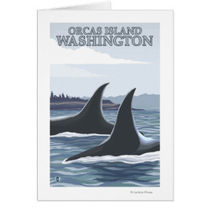 Orca Whales #1 - Orcas Island, Washington