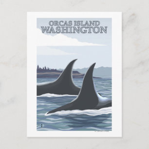 Orca Whales #1 - Orcas Island, Washington Postcard