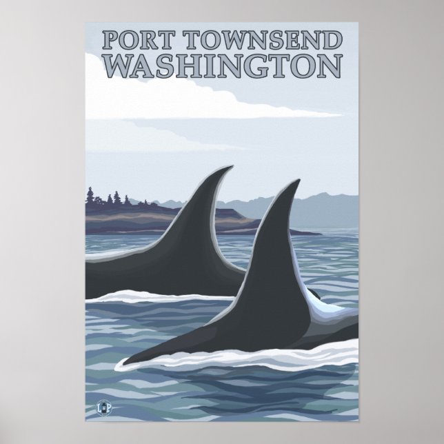 Orca Whales #1 - Port Townsend, Washington Poster (Front)