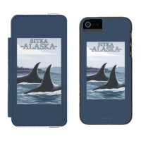 Orca Whales #1 - Sitka, Alaska