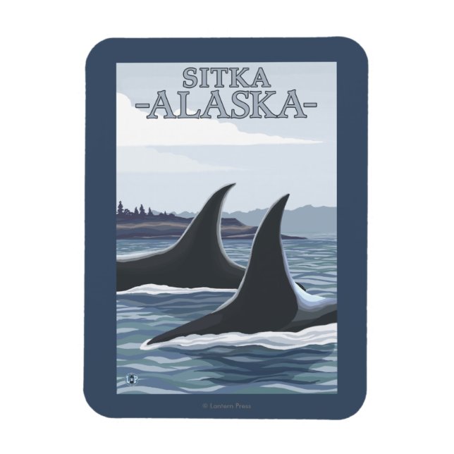 Orca Whales #1 - Sitka, Alaska Magnet (Vertical)