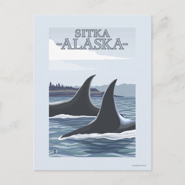 Orca Whales #1 - Sitka, Alaska Postcard (Front)
