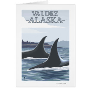 Orca Whales #1 - Valdez, Alaska