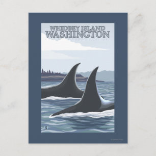Orca Whales #1 - Whidbey, Washington Postcard