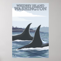 Orca Whales #1 - Whidbey, Washington