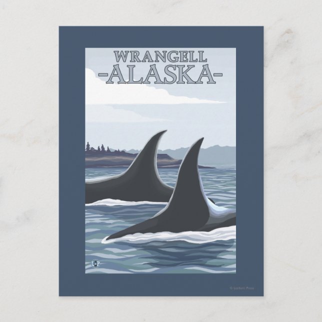 Orca Whales #1 - Wrangell, Alaska Postcard (Front)