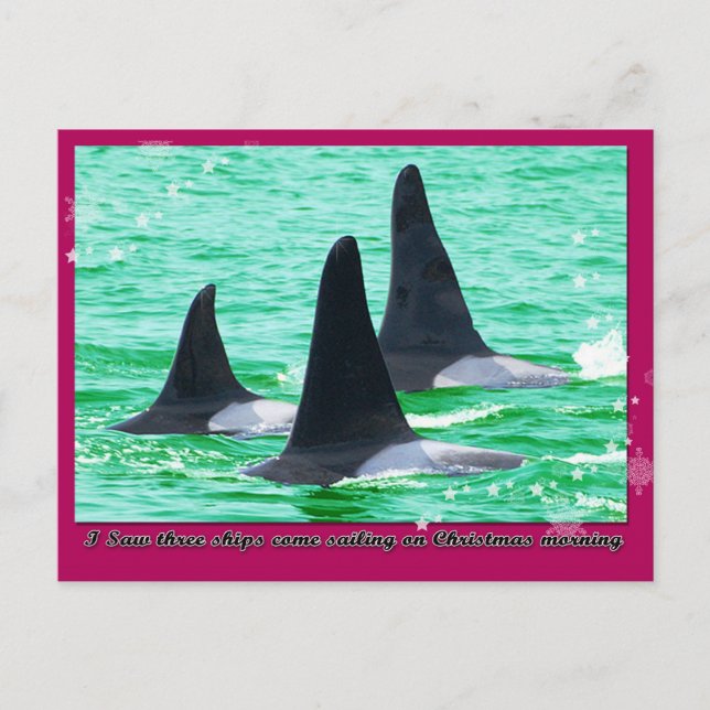 Orca Whales Come Sailing on Christmas Day Holiday (Front)