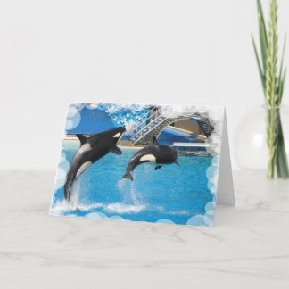 Orca Whales Greeting Card