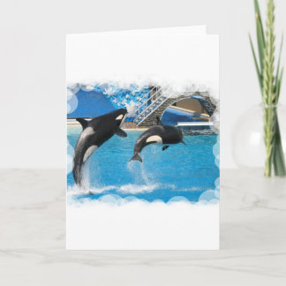 Orca Whales Greeting Card