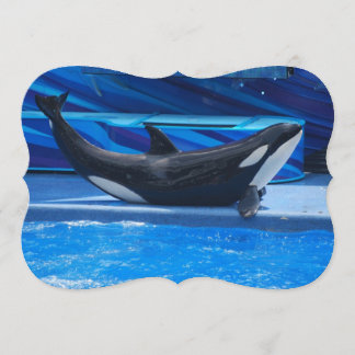 Orca Whales Invitation