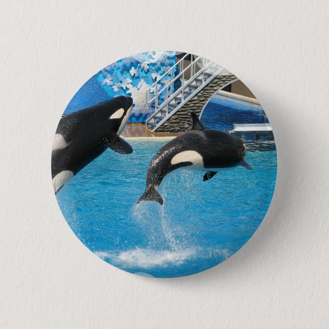 Orca Whales Pin (Front)