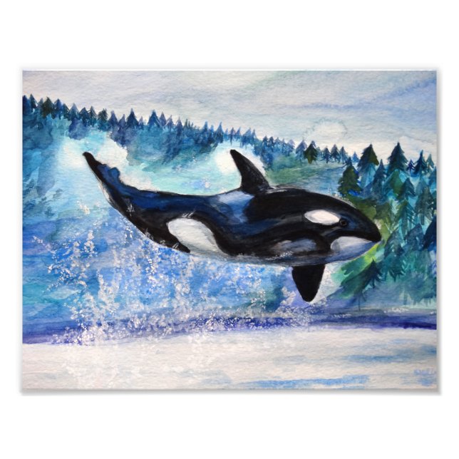 Orca wildlife watercolor photo print (Front)