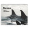 Orcas ~ 2012 Calendar