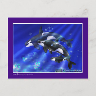 orcas postcard