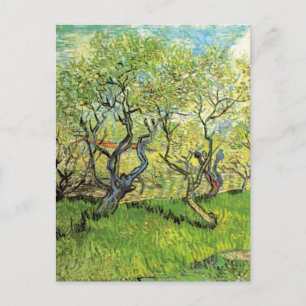 Orchard in Blossom by Vincent van Gogh Postcard
