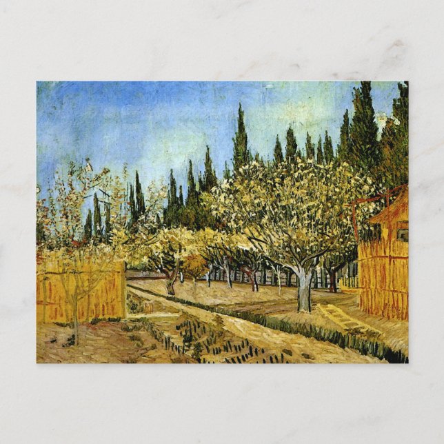 Orchard in Blossom, Cypresses, Vincent van Gogh Postcard (Front)