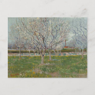 Orchard in Blossom Plum Trees by Vincent Van Gogh Postcard