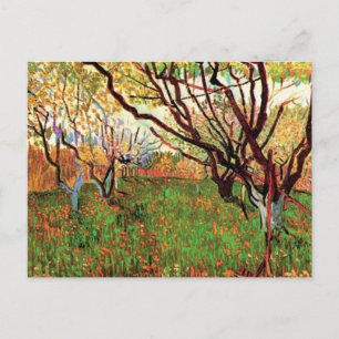 Orchard in Blossom, Vincent van Gogh Postcard